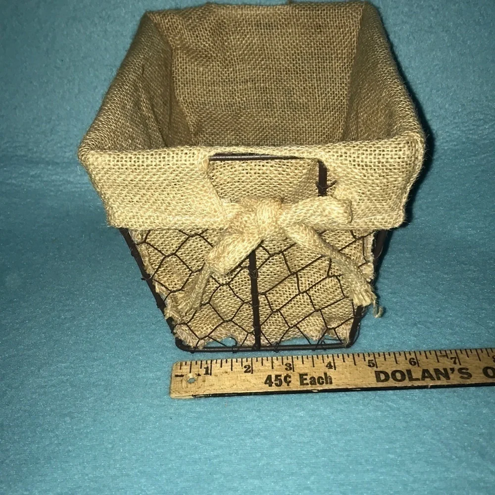 BASKET Chicken Wire rustic burlap lining NEW